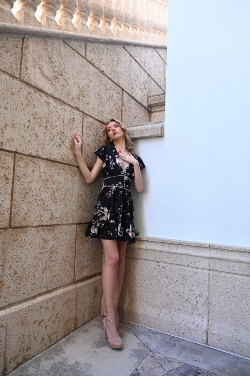 Afternoon in France Dress
